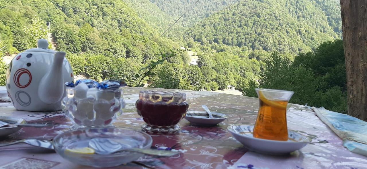 Gabala Mountains Villa Esterno foto